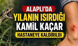 Alaplı’da Yılan Saldırısı: Kamil Kaçar Hastaneye Kaldırıldı