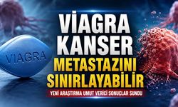 Viagra ve Statin Birlikteliği Metastaza Karşı Umut Verdi
