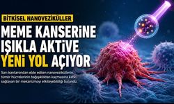 Sarı Kantaron Nanovezikülleri Meme Kanserini Deneyde Baskıladı