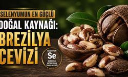 Brezilya Cevizi Nedir? Faydaları, Zararları ve Günlük Tüketim Miktarı