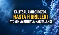 Kalıtsal Transtiretin Amiloidozunda Hastalardan Alınan Fibriller Atomik Ayrıntıyla Haritalandı