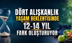 Dört Alışkanlık Yaşam Beklentisinde 12-14 Yıl Fark Oluşturuyor