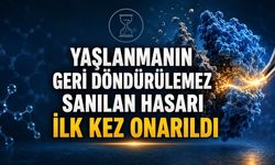 Yaşlanmanın Geri Döndürülemez Sanılan Hasarı İlk Kez Onarıldı