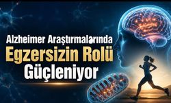Alzheimer Araştırmalarında Egzersizin Rolü Güçleniyor