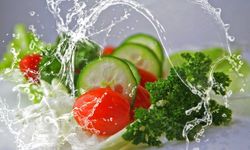 Besinlerle alınan su vücudu nasıl destekliyor?