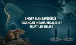 Andes Hantavirüsü İnsandan İnsana Bulaşır mı? Belirtileri Neler?