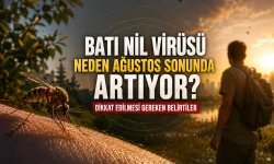 Batı Nil Virüsü Neden Ağustos Sonunda Artıyor? Dikkat Edilmesi Gereken Belirtiler