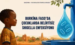 Burkina Faso’da Çocuklarda Belirtisiz Shigella Enfeksiyonu