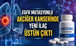 Mefatinib EGFR Akciğer Kanserinde Gefitinibi Geride Bıraktı