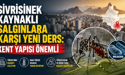 Sivrisinek Kaynaklı Salgınlara Karşı Yeni Ders: Kent Yapısı Önemli
