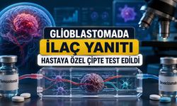 Glioblastomada İlaç Yanıtı Hastaya Özel Çipte Test Edildi