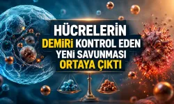 Hücrelerin Demiri Kontrol Eden Yeni Savunması Ortaya Çıktı