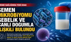 Semen Mikrobiyomu Gebelik ve Canlı Doğumla İlişkili Bulundu