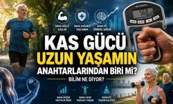 Kas Gücü Uzun Yaşamın Anahtarlarından Biri Olabilir mi?