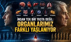 İnsan Tek Bir Yaşta Değil: Organlarımız Farklı Yaşlanıyor