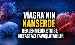 Viagra’nın Etken Maddesi Kanser Hücrelerine Karşı Yeni Bir Silah Olabilir