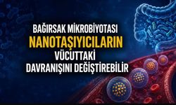 Bağırsak Mikrobiyotası Nanotaşıyıcıların Vücuttaki Davranışını Değiştirebilir