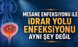 Sık İdrara Çıkma ve Yanma Neden Olur? Mesane Enfeksiyonuna Dikkat