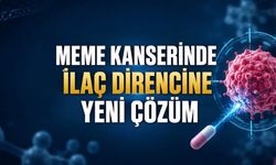 FDA’dan İleri Evre Meme Kanseri İçin Yeni Tedavi Onayı