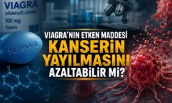 Viagra’nın Etken Maddesi Kanserin Yayılmasını Yavaşlatabilir mi? Yeni Araştırmadan Dikkat Çeken Bulgular