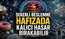 Şekerli Beslenme Hafızada Kalıcı Hasar Bırakabilir