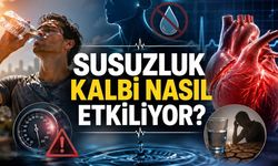 Susuzluk Kalbi Nasıl Etkiliyor? Uzmanlar Gizli Risklere Karşı Uyarıyor