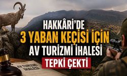 Hakkâri’de 3 Yaban Keçisi İçin Av Turizmi İhalesi Açıldı: Karar Tepki Topladı