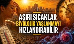 Araştırma: Uzun Süreli Sıcak Hava Biyolojik Yaşlanmayı Hızlandırabilir