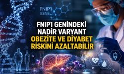 Nature: Nadir FNIP1 gen varyantı metabolik hastalık riskinde koruyucu etkiyle ilişkilendirildi