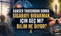 Kanser Tanısından Sonra Artık Geç Değil: Tedaviyi Etkileyen Kritik Adım