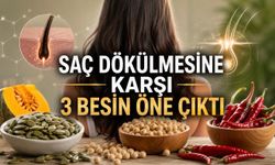 Saç Dökülmesi Araştırmasında Şaşırtan Sonuç: 24 Haftada Yüzde 40 Artış