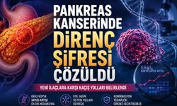 Pankreas Kanserinde Kritik Keşif: Yeni İlaçlara Direncin Yolu Bulundu