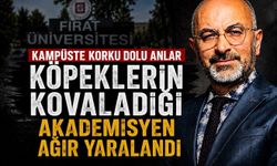Fırat Üniversitesi’nde köpeklerin kovaladığı akademisyen ağır yaralandı