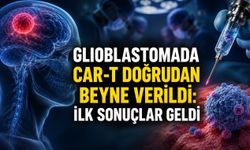Glioblastomada Yeni Umut: CAR-T Hücreleri Tümöre Yakından Ulaştırıldı