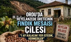 Ordu’da heyelanzede üreticinin fındık mesaisi çileye döndü: “1 ay kalacak yer istedik, vermediler”