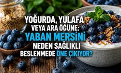 Yoğurda, Yulafa veya Ara Öğüne: Yaban Mersinini Bu Kadar Değerli Yapan Ne?