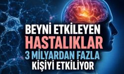 İnmeden Migrene, Demanstan Epilepsiye: Beyni Etkileyen Başlıca Hastalıklar