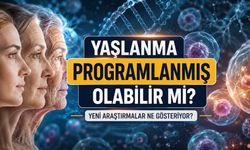 Vücut Neden Yaşlanıyor? Milyonlarca Hücreyi İnceleyen Araştırmadan Yeni İpuçları