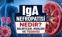 İdrardaki Kan ve Protein Sessiz Bir Böbrek Hastalığının İşareti Olabilir