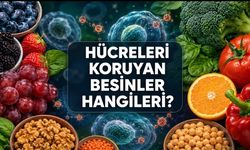 Tabağınızdaki Renkler Tesadüf Değil: Antioksidan Zengini Besinler