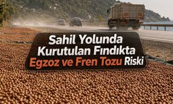 Karadeniz Sahil Yolunda Kurutulan Fındıkta Egzoz ve Fren Tozu Riski
