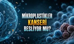 Yediğimiz, içtiğimiz ve soluduğumuz mikroplastikler kanser riskini artırıyor mu?
