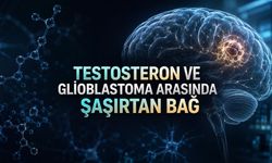 Testosteron Beyin Tümörü Tedavisi mi Olacak? Araştırmanın Söylediği ve Söylemediği