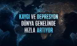 Ruhsal Bozukluk Vakaları 1990’dan Beri Yüzde 95,5 Arttı
