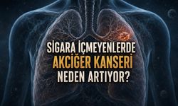 Hiç Sigara İçmeyenlerde Akciğer Kanseri Neden Görülüyor?