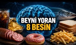 Beyne En Zararlı Besinler Hangileri? İşte Bilimsel Bulgular