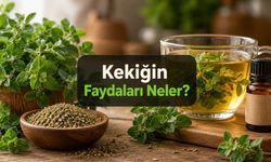 Kekiğin Faydaları Neler? Sofradaki Baharat ile Kekik Yağı Aynı Değil