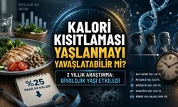 Kalori Kısıtlaması Yaşlanmayı Yavaşlatabilir mi? Yeni Bulgular