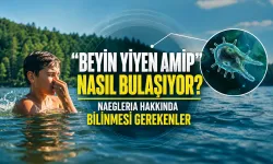 “Beyin Yiyen Amip” Nasıl Bulaşıyor? Naegleria Hakkında Bilinmesi Gerekenler