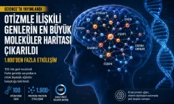Otizmle İlişkili 100 Risk Geninin Moleküler Haritası Çıkarıldı: 1.800’den Fazla Etkileşim